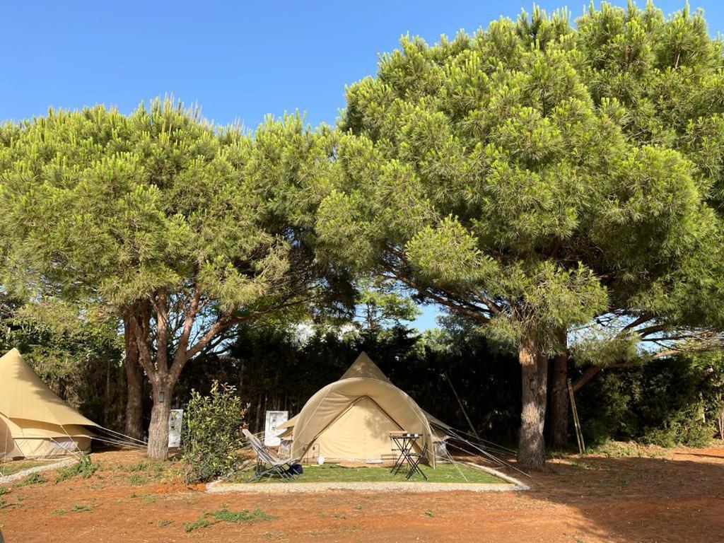 Hotel Glamping La Mimosa Conil Conil De La Frontera Exterior foto